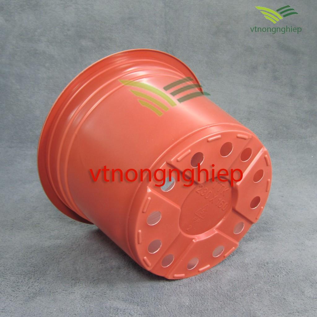 Chậu nhựa trồng Hoa CH-23x16 màu xám nâu, màu đỏ đất, màu trắng
