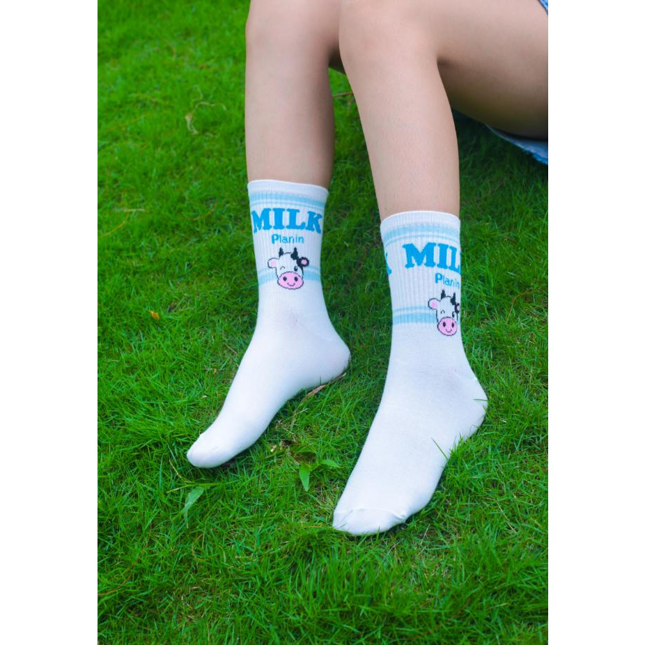 Tất vớ Nữ cao cấp, nhập khẩu hàn quốc thương hiệu KIKIYA SOCKS. Đẹp, Dễ Thương, Cá Tính  W-C-016