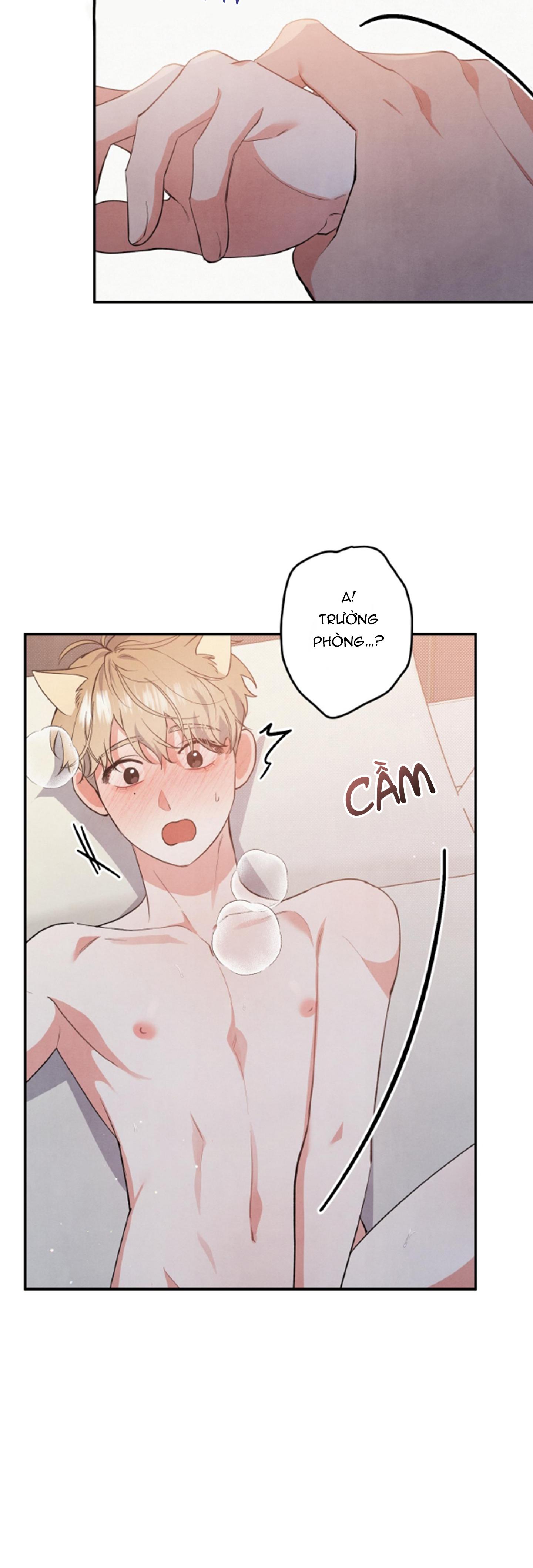 mối quan hệ ngu ngốc chapter 48 24