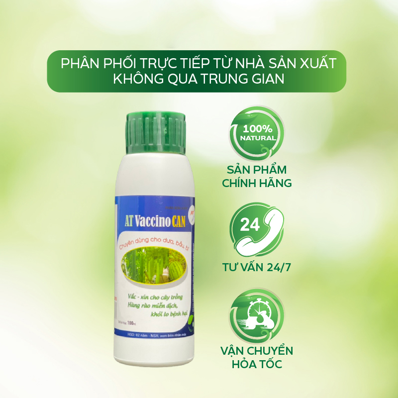 Chế Phẩm Trị Thán Thư, Bã Trầu, Thối Cổ Rễ, Đốm Vòng Trên Cây Ăn Quả - Thuốc Trừ Bệnh Cây Trồng AT Vaccino Can 100ml