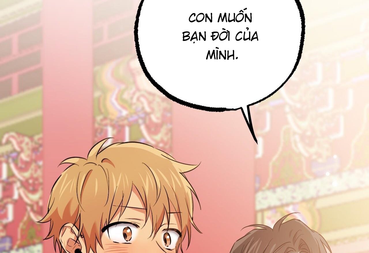 những chú thỏ của hapypy chapter 62 85