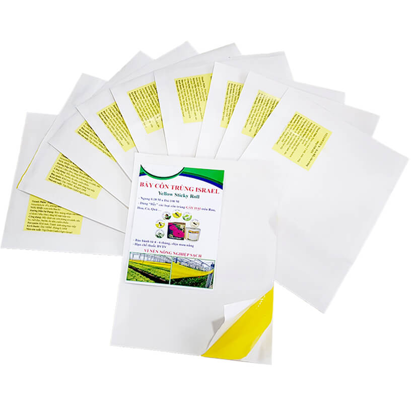 Miếng Dính Vàng Bẫy Côn Trùng Israel - Sticky Yellow Roll dùng bẫy các loại Côn Trùng Bay ngây hại rau sạch như Ruồi, Bọ Phấn, Bọ Trĩ, Bướm và côn trùng khác...