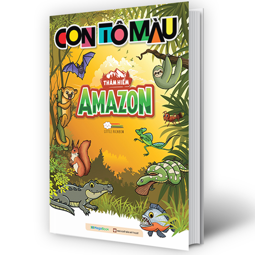 Con Tô Màu: Thám Hiểm Amazon