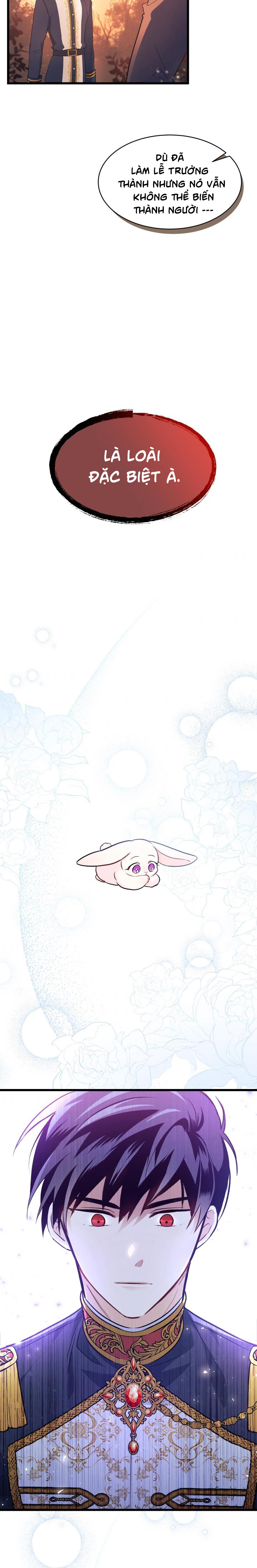 mối liên kết giữa báo đen và bé thỏ chapter 12 21