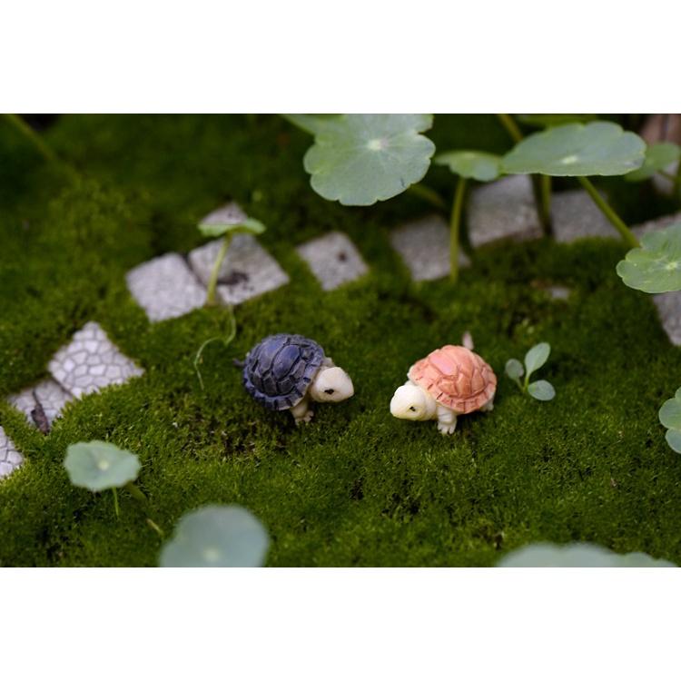 Mô hình rùa con trang trí tiểu cảnh, sân vườn, sen đá, terrarium