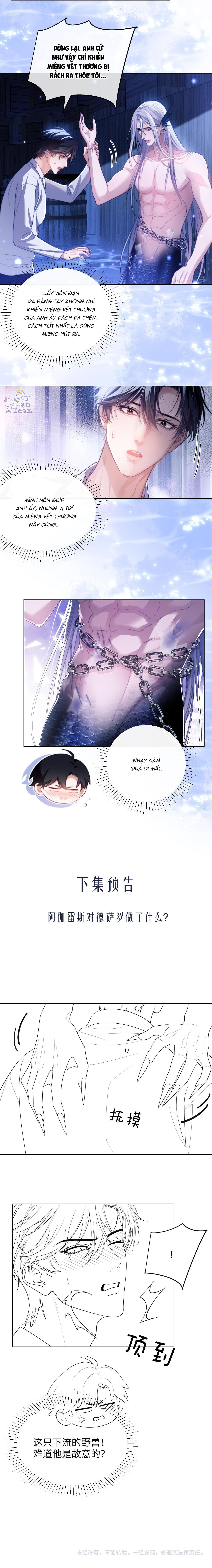 người cá desahrow chapter 26 7