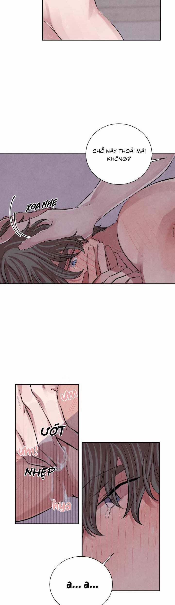 tiếng san hô nở chapter 11 13