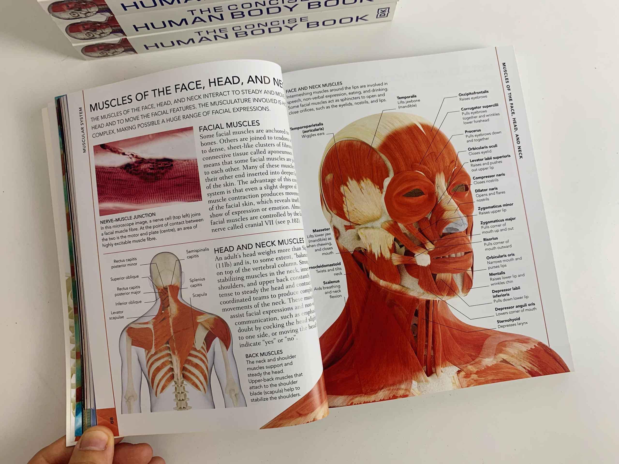 The Concise Human Body Book: An illustrated guide to its structure, function and disorders