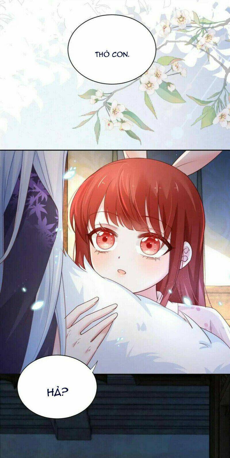 hắc hóa nam chính trực tuyến nuôi thỏ chapter 59 19