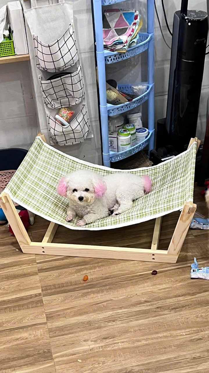Võng cho thú cưng siêu cute