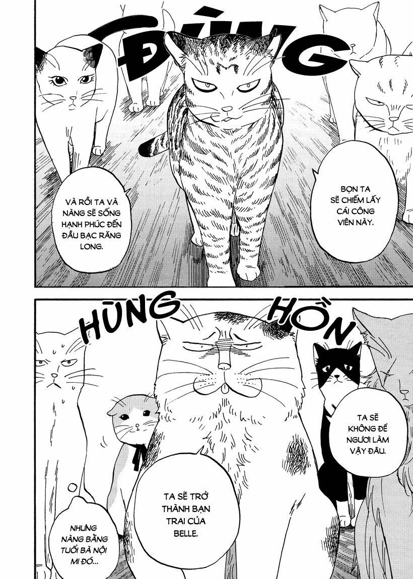 tui là busamen! chapter 7 11