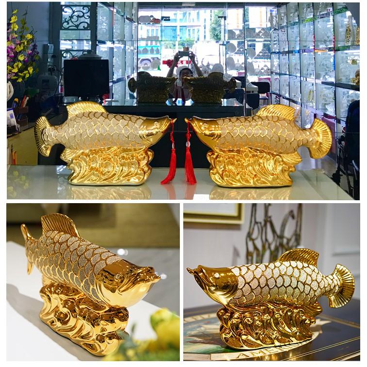 Cá rồng trang trí size lớn