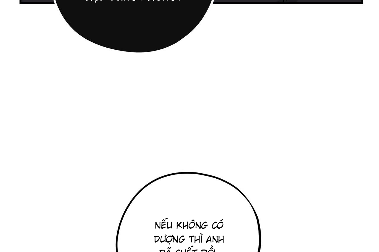 chàng dâu nhà họ kang chapter 33 132