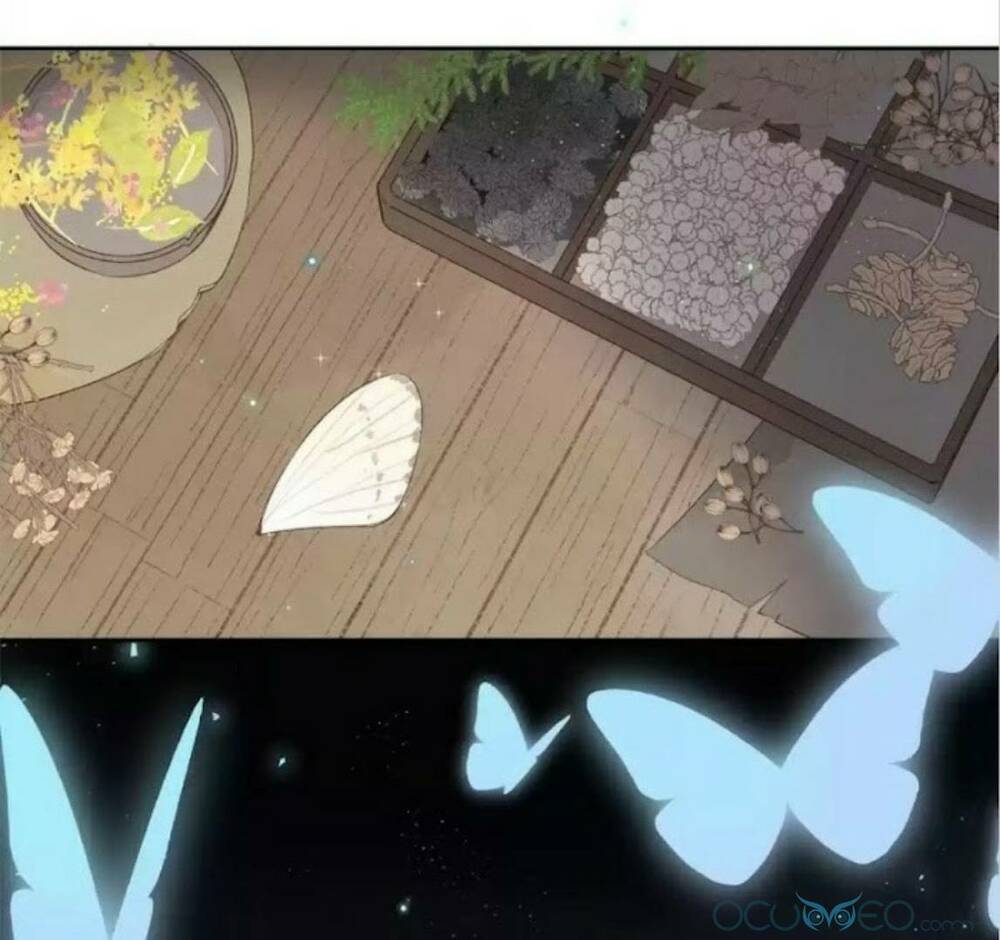 sos! tôi đã yêu một con sâu bướm (phần 2) chapter 15 46