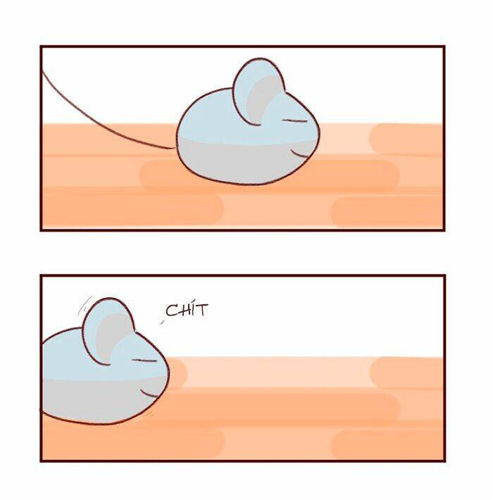 saphie: chú mèo một mắt chapter 3 14