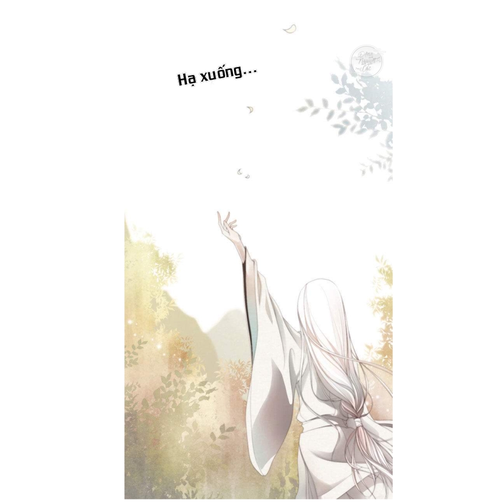 the twelfth night chapter 1 4