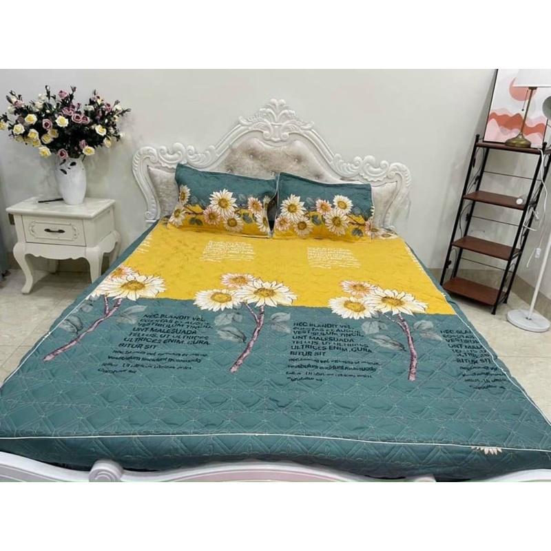 Ga trải giường - Ga chun trải giường trần bông dày dặn chắc chắn chất liệu cotton poly đủ cỡ được chọn mẫu