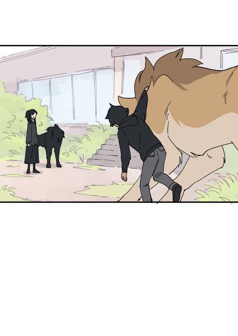 lumine - cội nguồn ánh sáng chapter 156 12