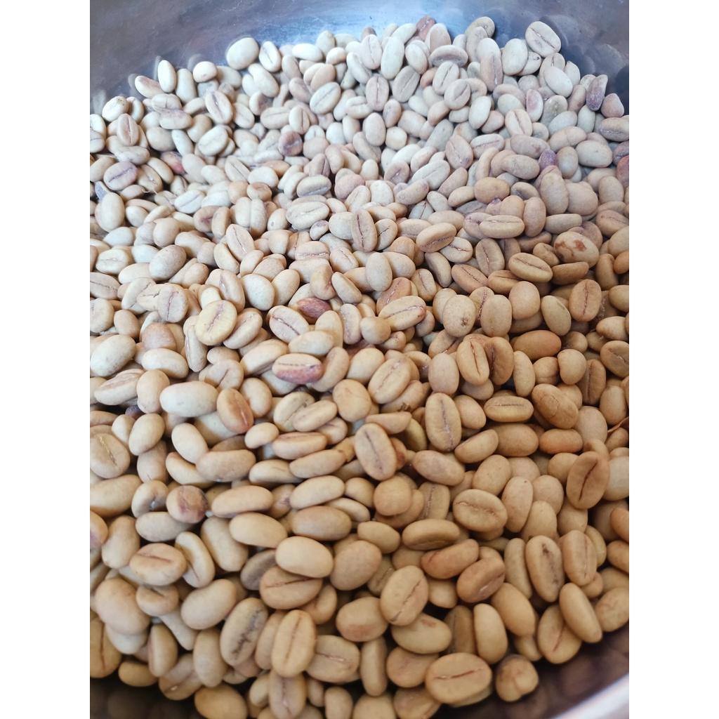 1 kg hạt giống cà phê Thiện Trường cao sản