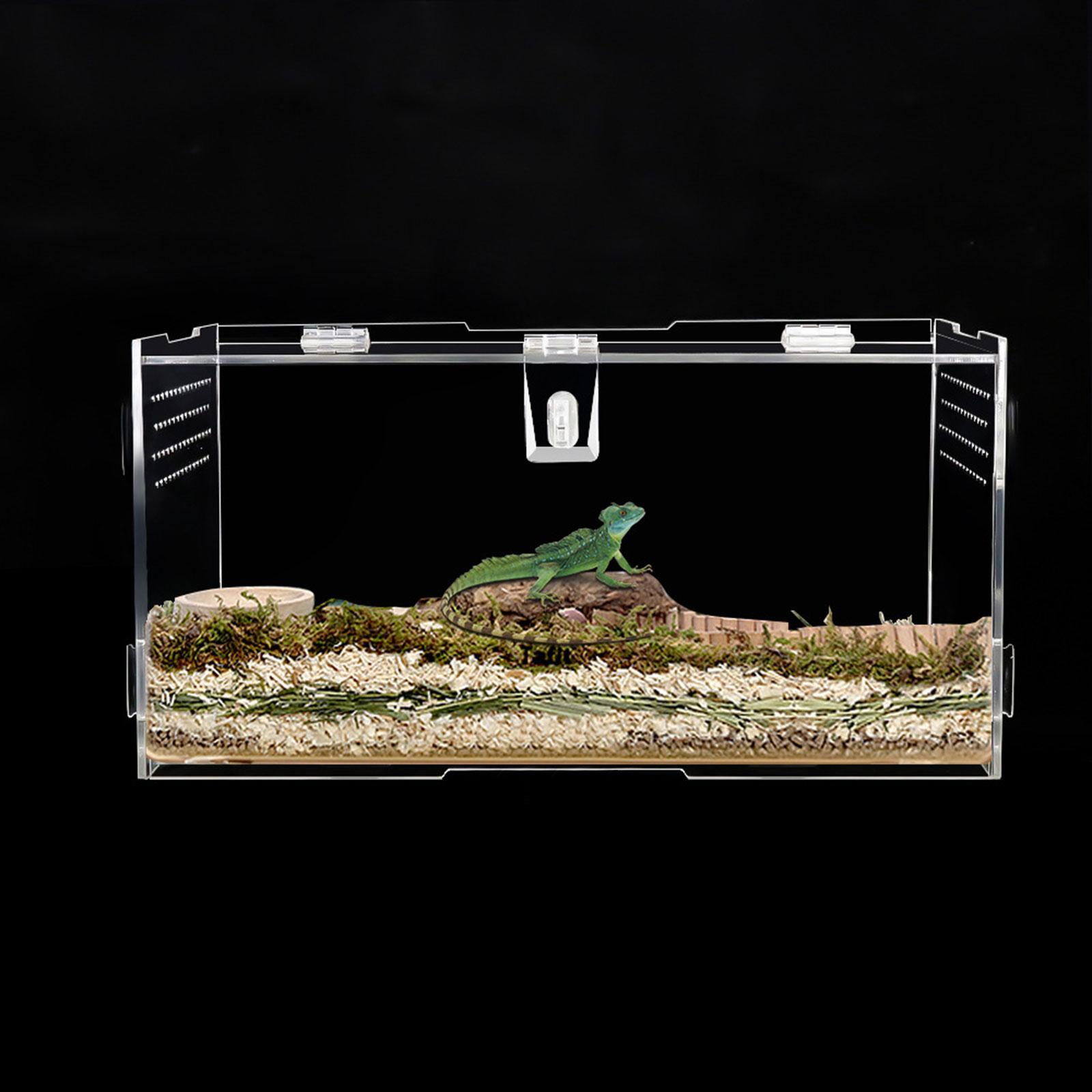 Reptile Breeding Box Portable Hamster Feeding Cage for Isopods Turtle Dragon