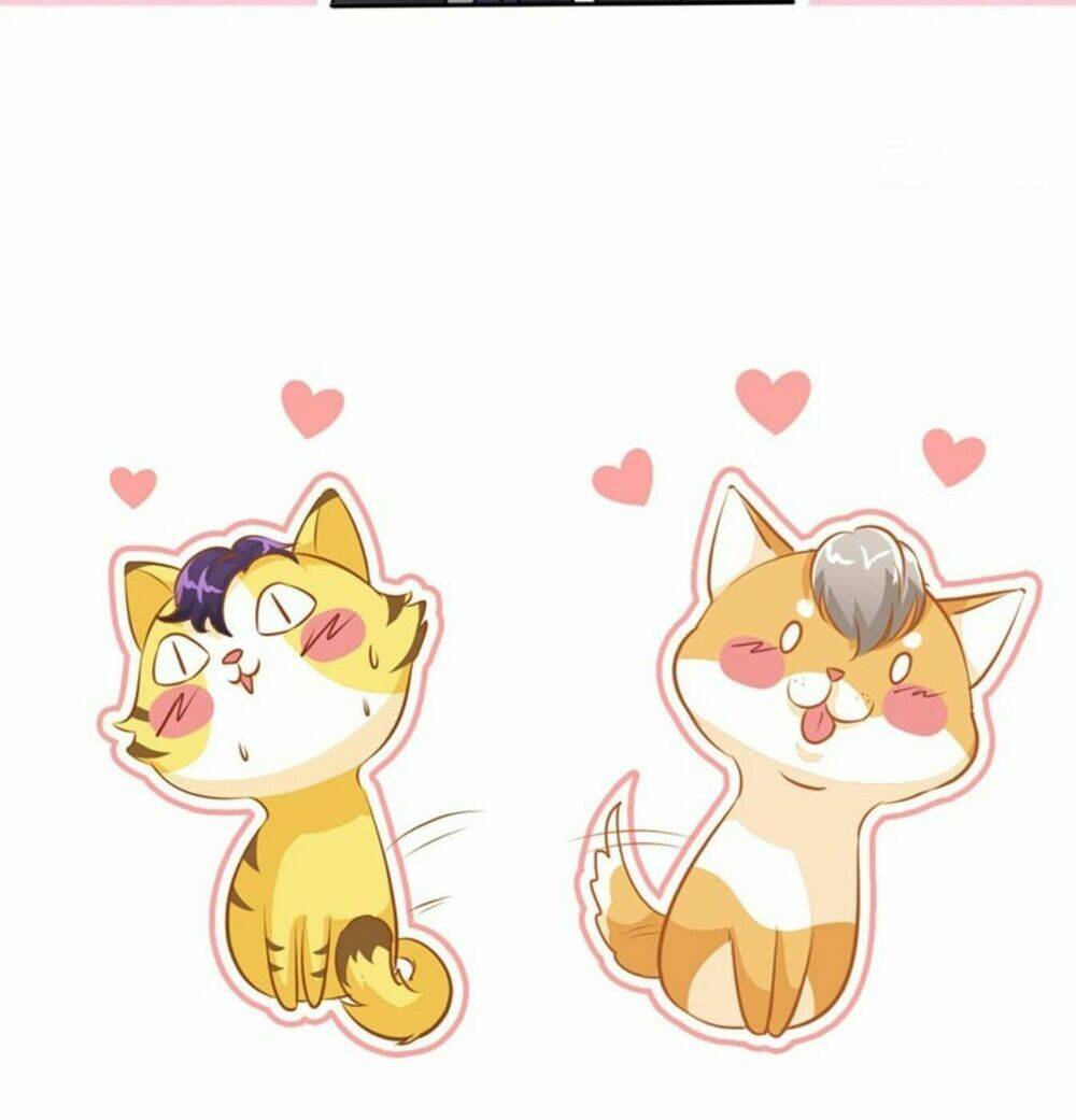 truy nã toàn cầu truy thê về sủng chapter 21 12