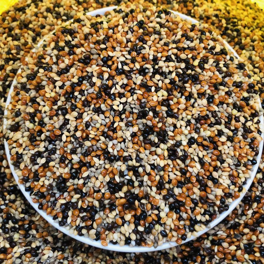 Thức ăn cỏ thái ngũ sắc chim cu gáy, 500gram hạt kê trộn dành cho Yến Phụng, Finch, 7 màu, Manh Manh