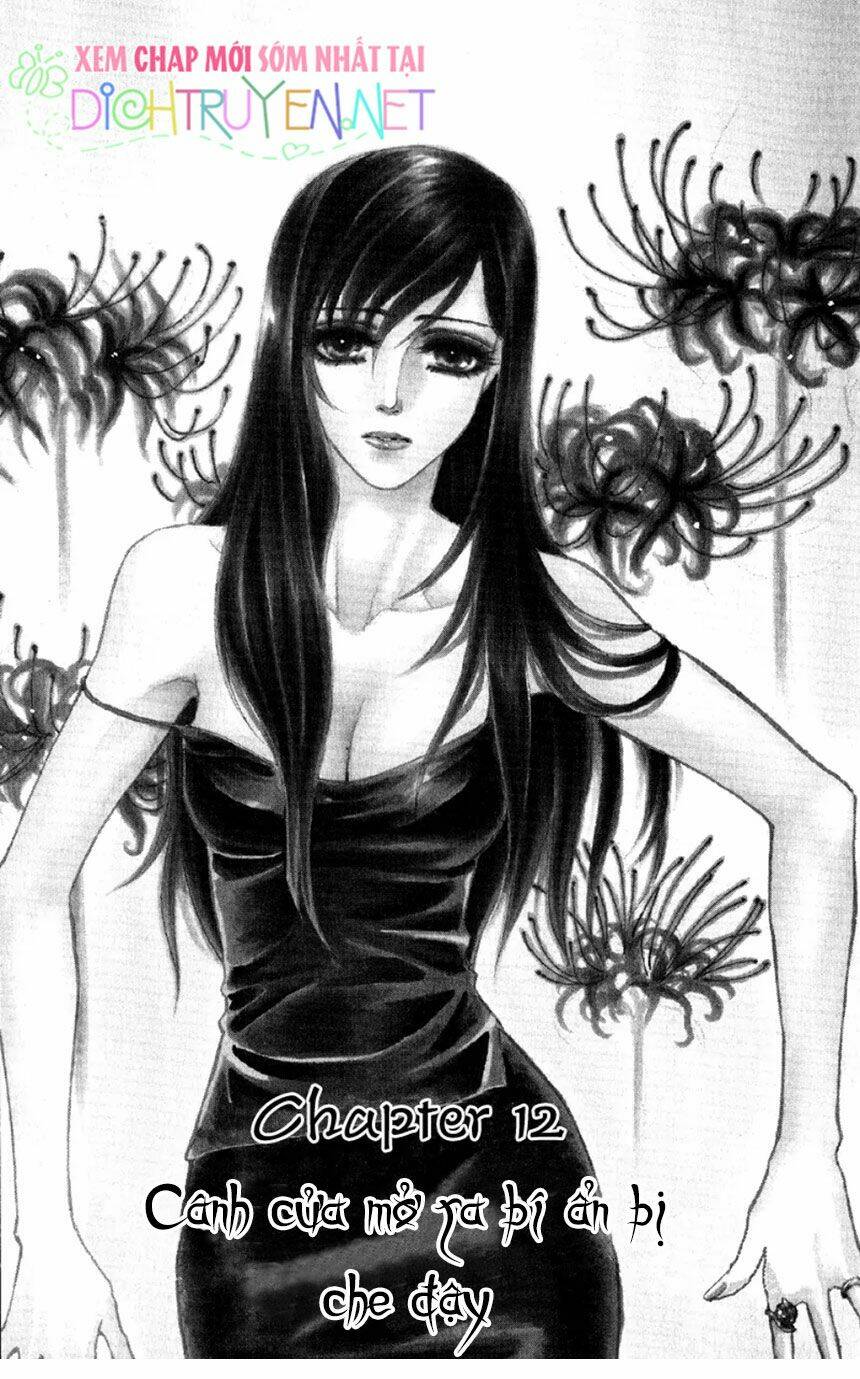 đóa hồng dành tặng seri chapter 12 1
