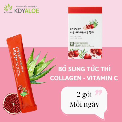 KDY ALOE - THẠCH COLLAGEN NHA ĐAM SAPONARIA LỰU ĐỎ HỮU CƠ (hộp 10 gói)