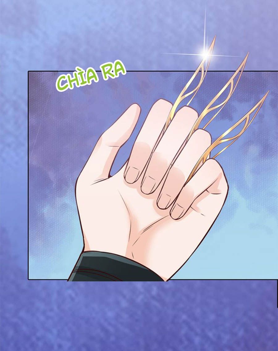 mỹ nhân già rồi chapter 26 11