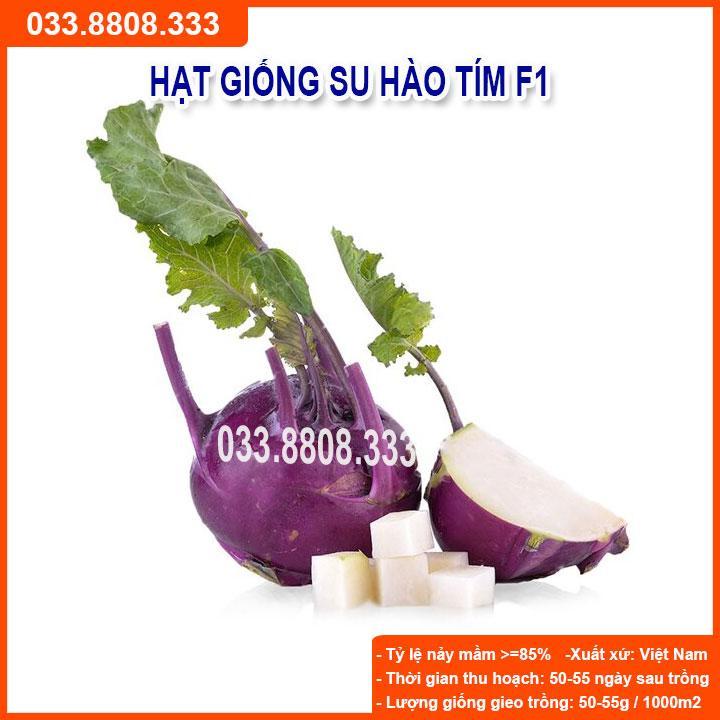 HẠT GIỐNG SU HÀO TÍM - NĂNG SUẤT CAO, NẢY MẦM TỐT