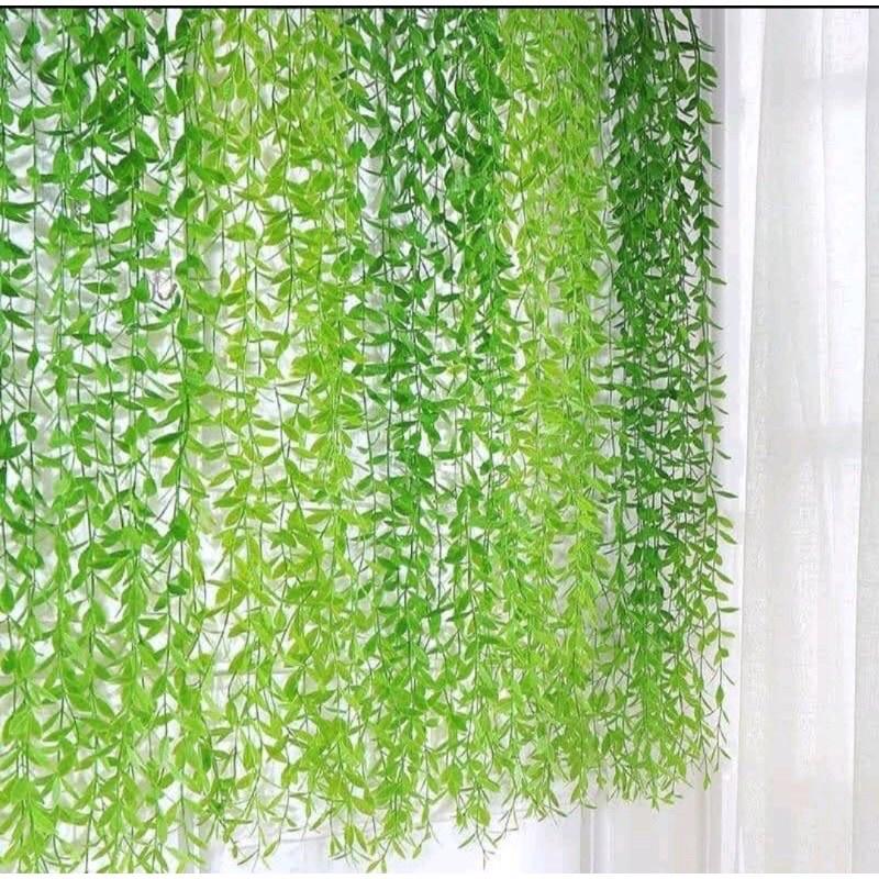 Dây Cúc Tần Ấn Độ Dài 100cm một cụm 5 nhánh Trang Trí Decor Siêu Đẹp