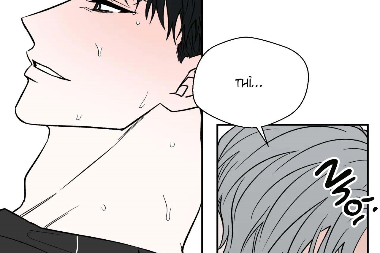 ám ảnh pheromone chapter 55 52