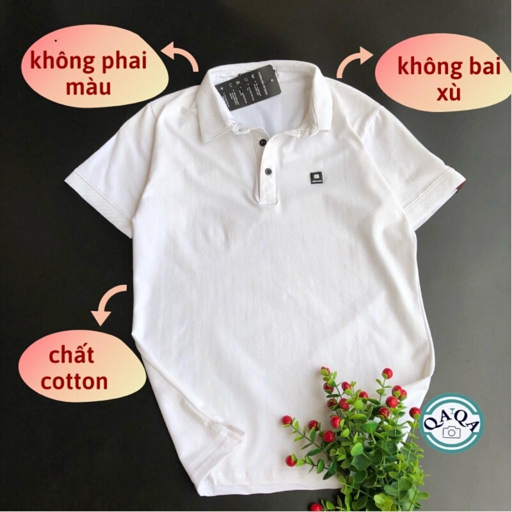 Áo Thun Nam Áo Phông PoLo Chất Thun Cao Cấp