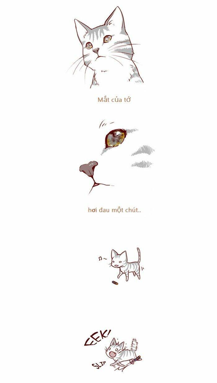 my kitty and old dog chapter 3 2