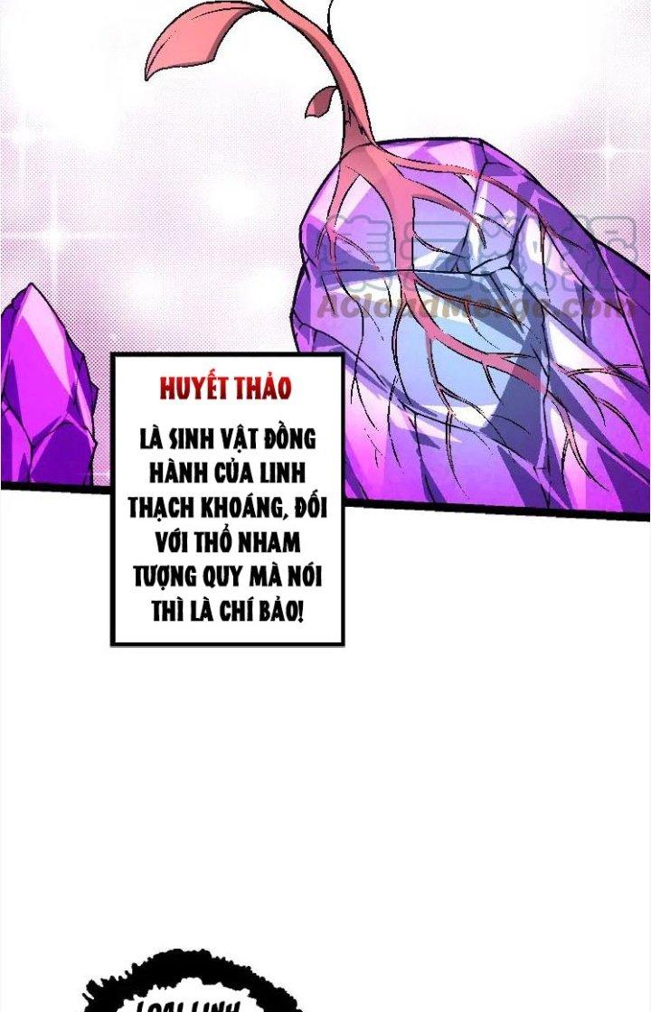 từ cây cổ thụ bắt đầu tiến hóa chapter 25 16