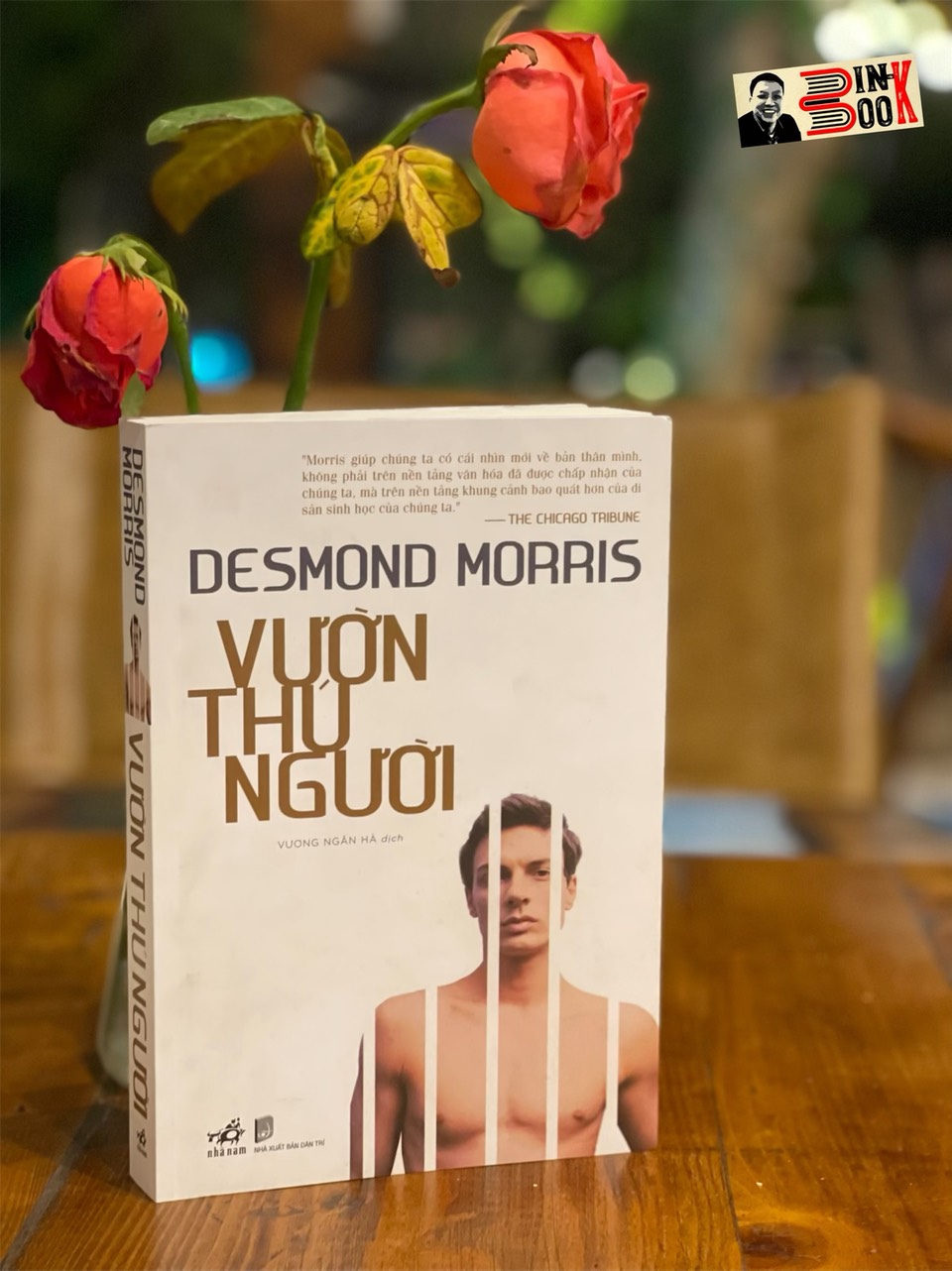VƯỜN THÚ NGƯỜI – Desmond Morris – Vương Ngân Hà dịch – Nhã Nam – NXB Dân Trí (Bìa mềm)