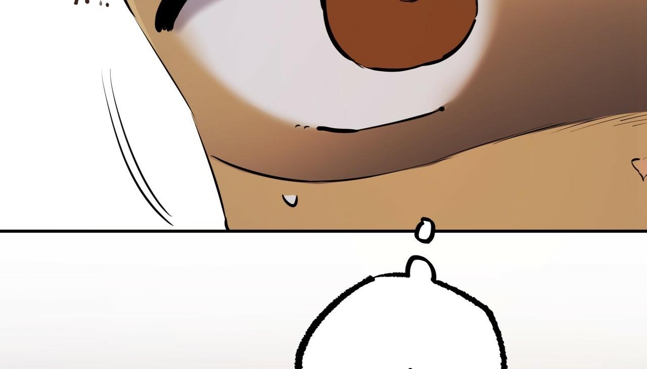 đàn thỏ của habibi chapter 47 259