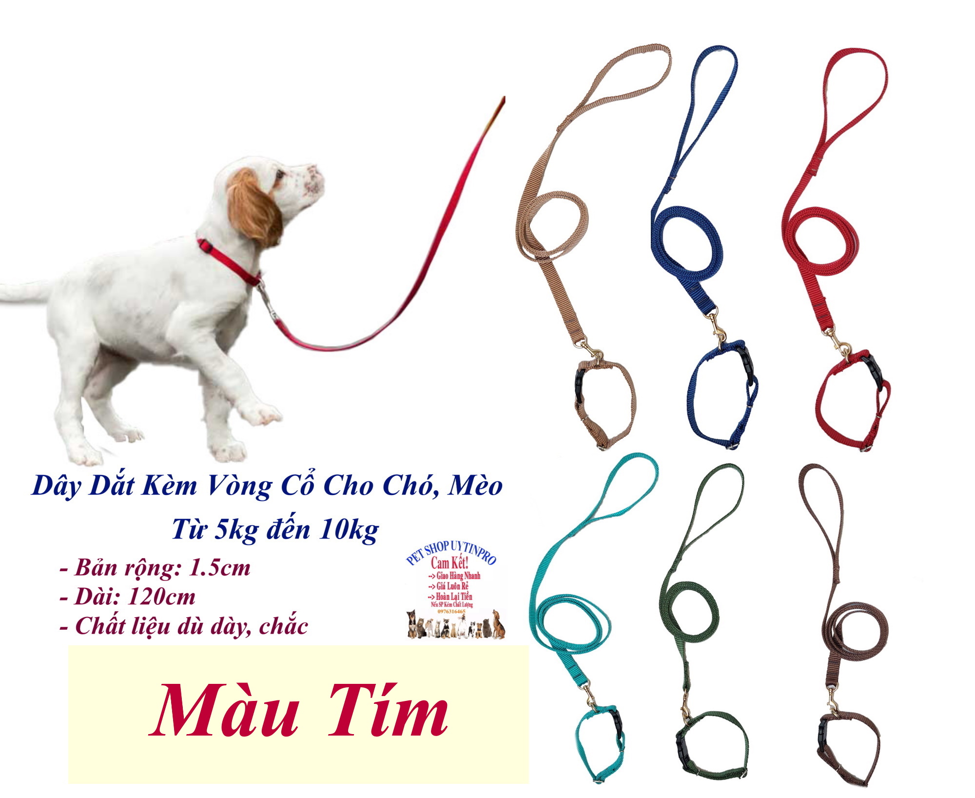 Dây dắt kèm vòng cổ cho Chó Mèo từ 5kg đến 10kg Bản rộng 1.5cm Không in hình Chất liệu dù dày, Bền, Chắc, Cao cấp