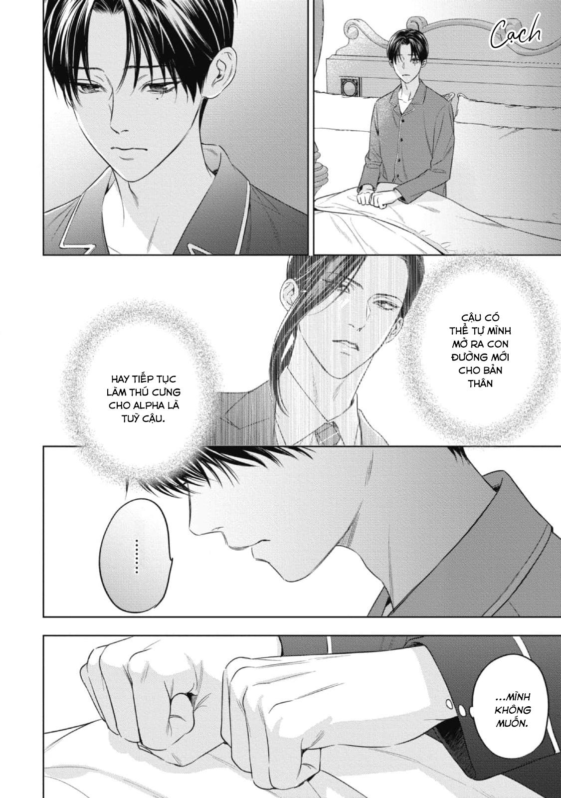 cô dâu của alpha chapter 23 10