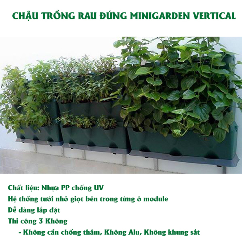 CHẬU MODULE TRỒNG RAU BAN CÔNG NHẬP KHẨU BỒ ĐÀO NHA