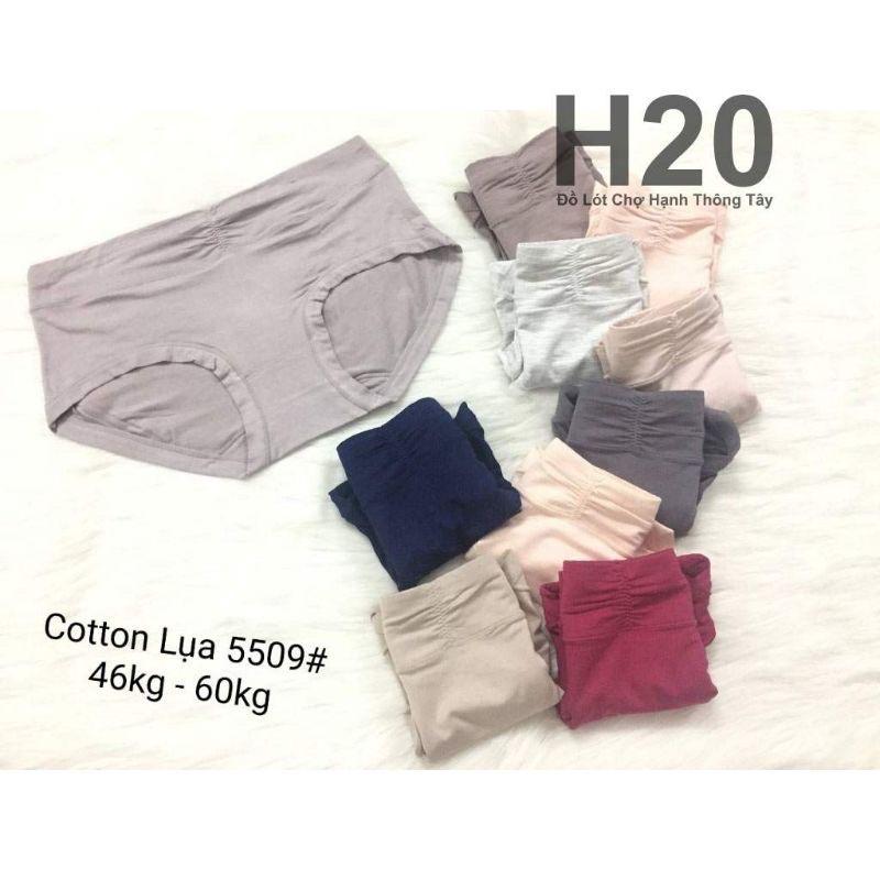 Combo 5 Quần Lót Cotton cạp cao mã 5509