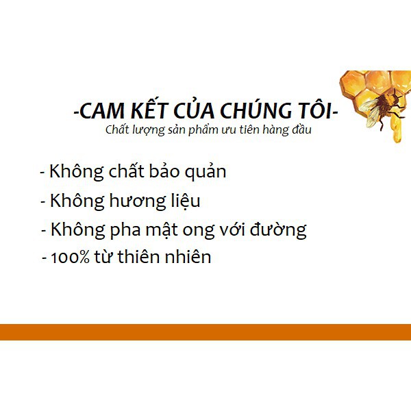 Mật ong nội địa Thế Hồng 1400g combo 2 chai
