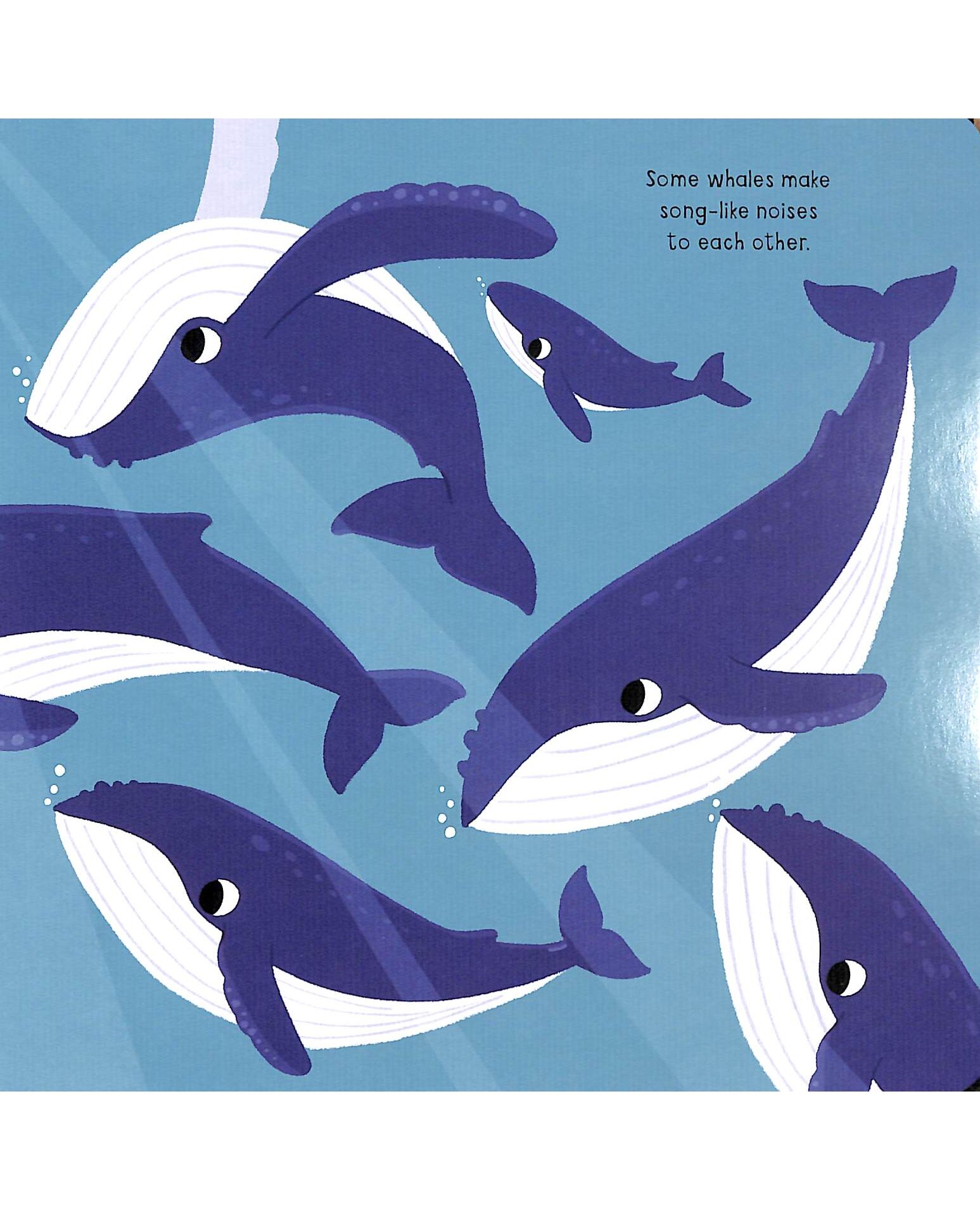 My Little Ocean Explorer: Mirror Book