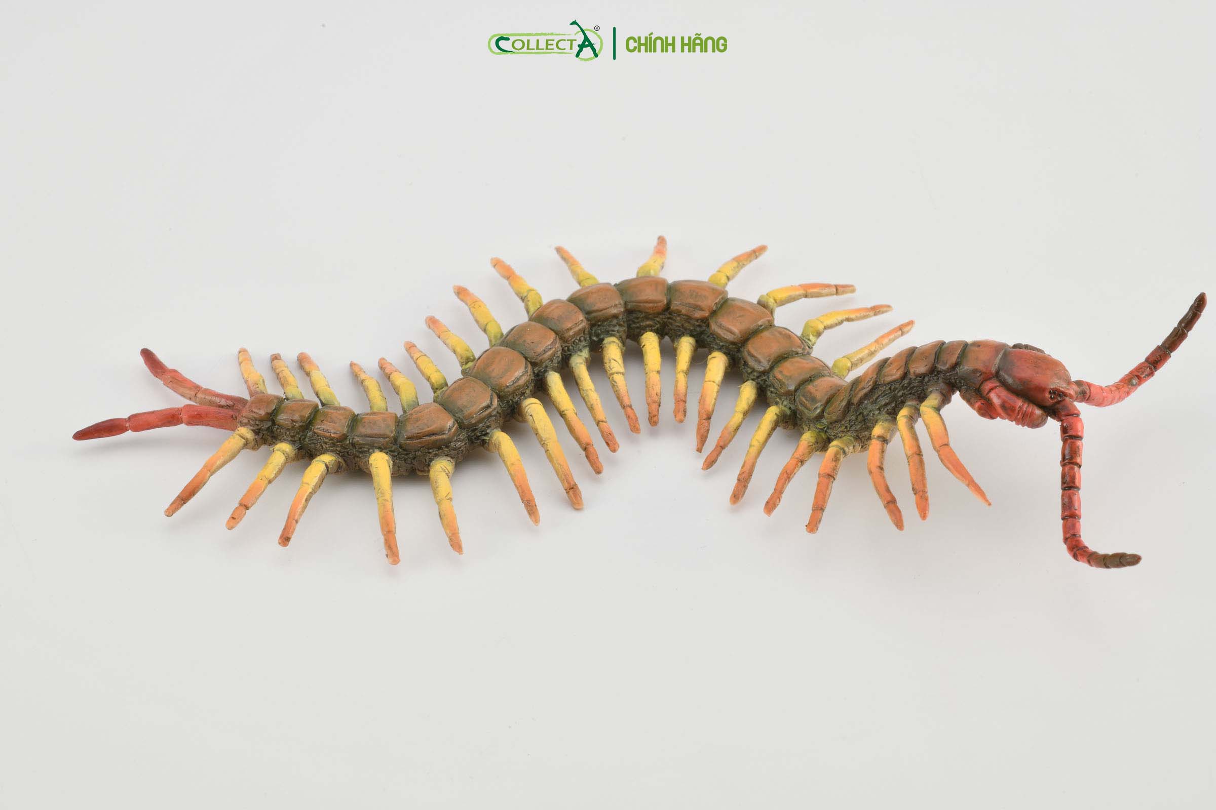 Mô hình thu nhỏ: Rết - Centipede, hiệu: CollectA, mã HS 9653040 [88885] -  Chất liệu an toàn cho trẻ - Hàng chính hãng