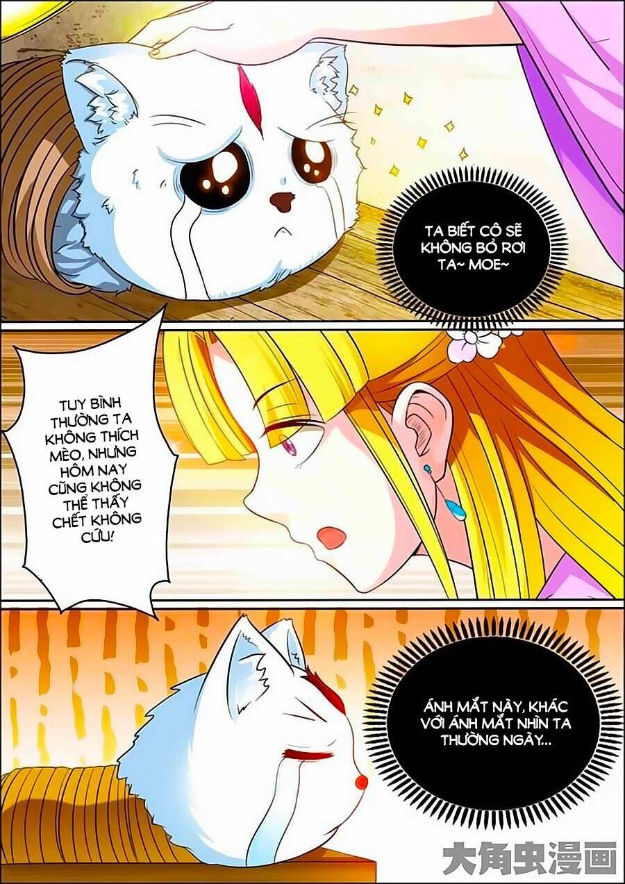 mau lấy con mèo đó ra chapter 12 6