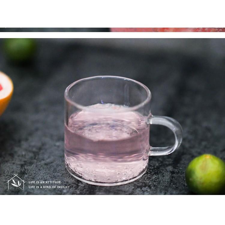 Cốc trà có quai 100ml - Cốc trà thủy tinh chịu nhiệt cao cấp Borosilicate, hàng xuất Âu