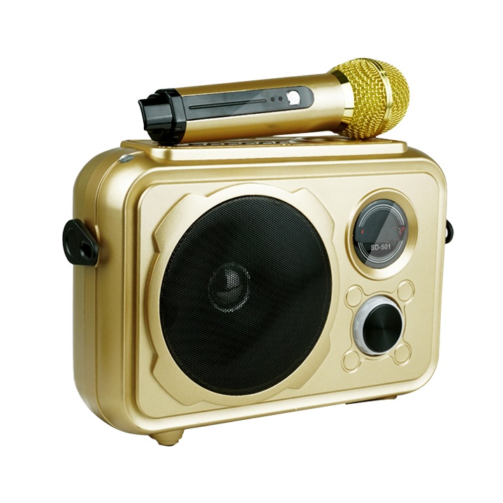 Loa Bluetooth Mini Karaoke Âm Thanh Cực Hay Có Mic PKCB38 Gold - Hàng Chính Hãng