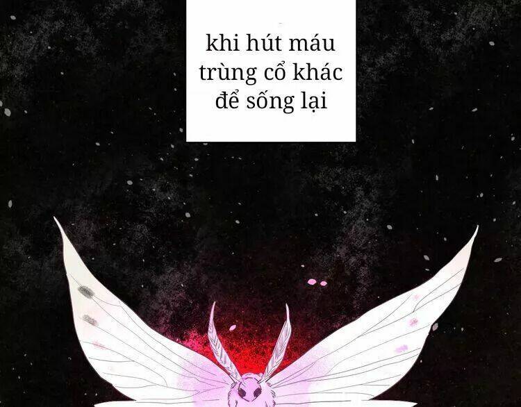 sos! tôi đã yêu một con sâu bướm (phần 2) chapter 27 39