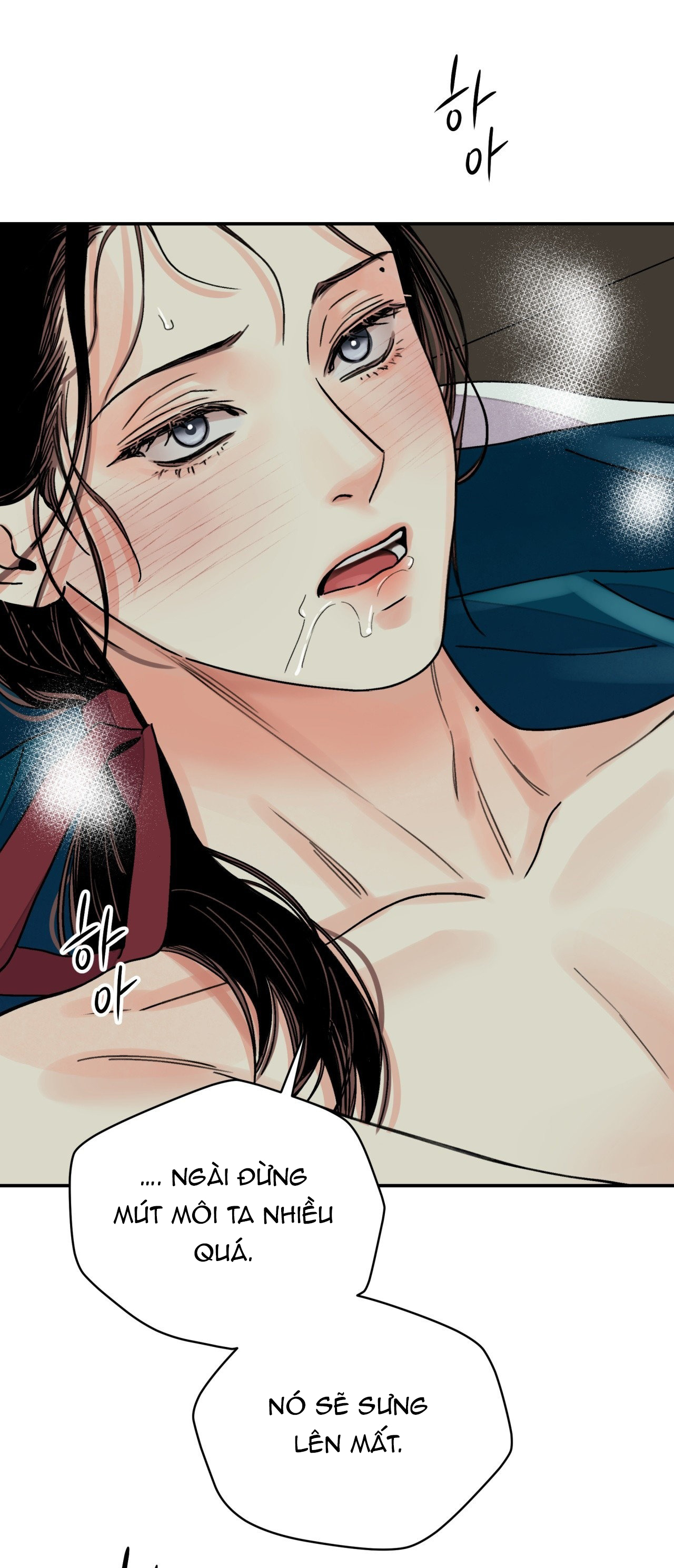 [18+] trượng kiếm tựa hoa chapter 60.1 12