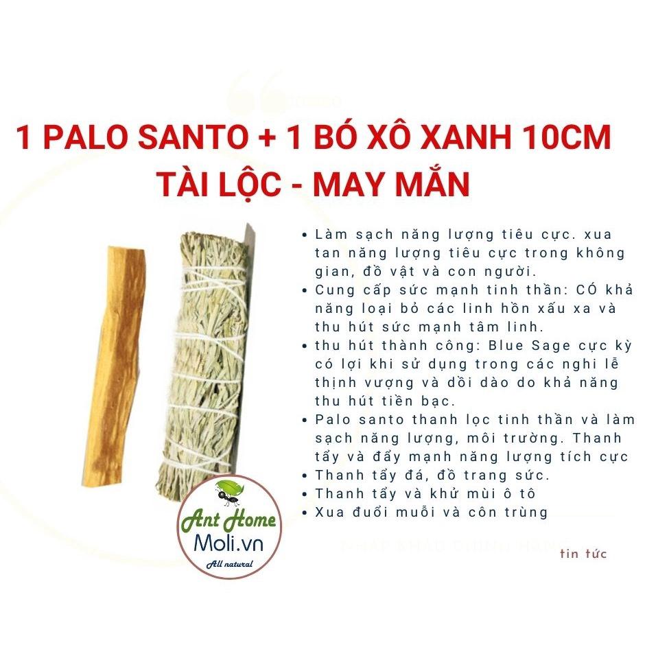 Sét 1 bó xô thơm xanh blue sage + 1 thanh gỗ trắc xanh palo santo 10cm May mắn - Tài lộc